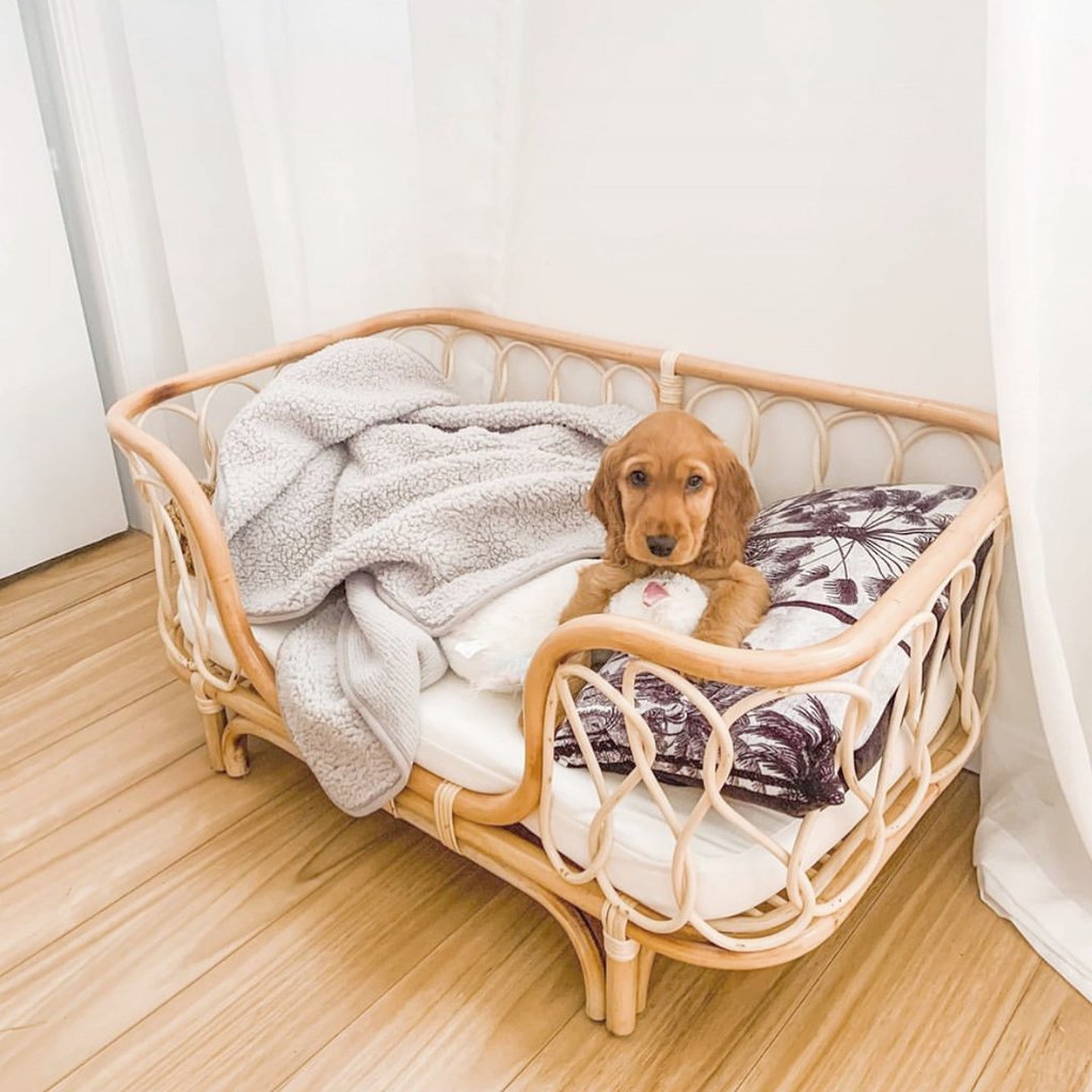 Cuadrada Cama en alto de Rattan hecha a mano Pawsessence Accesorio