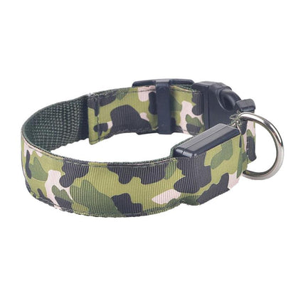 Verde / L Collar luminoso recargable Pawsessence collar