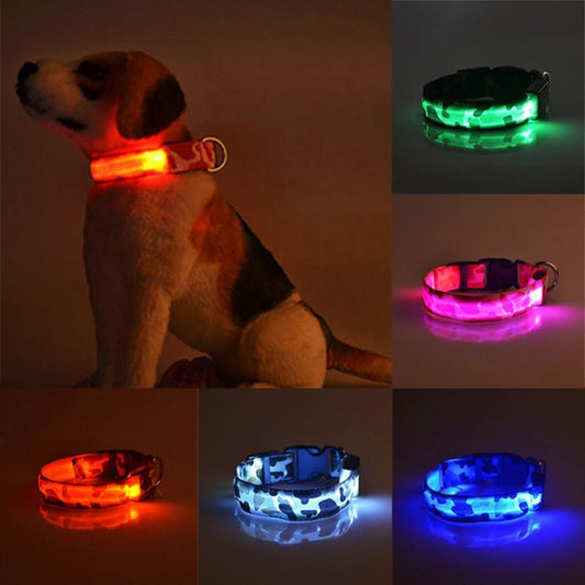 Collar luminoso recargable Pawsessence collar