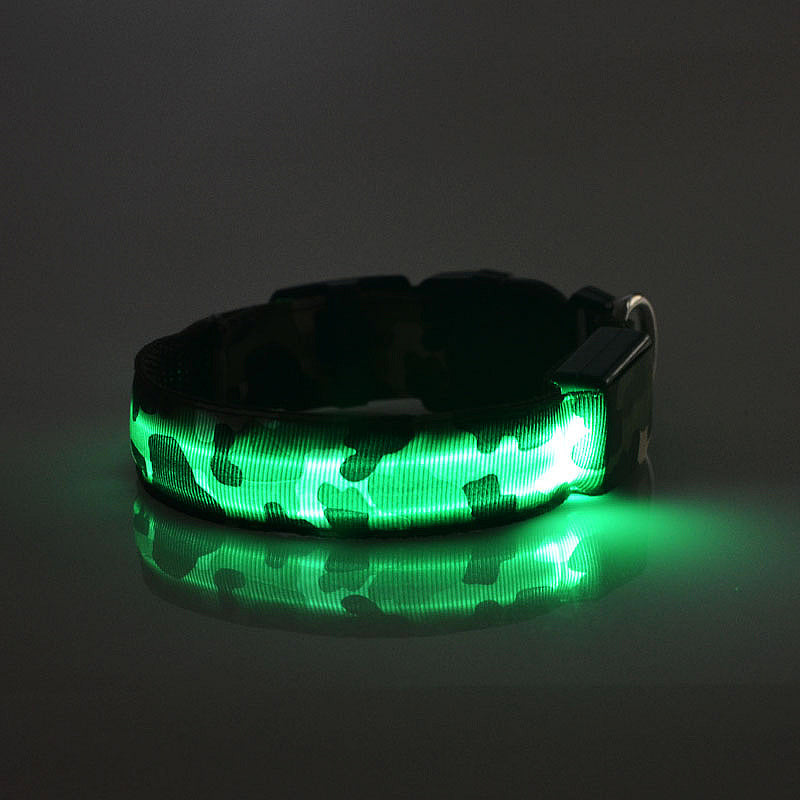 Collar luminoso recargable Pawsessence collar