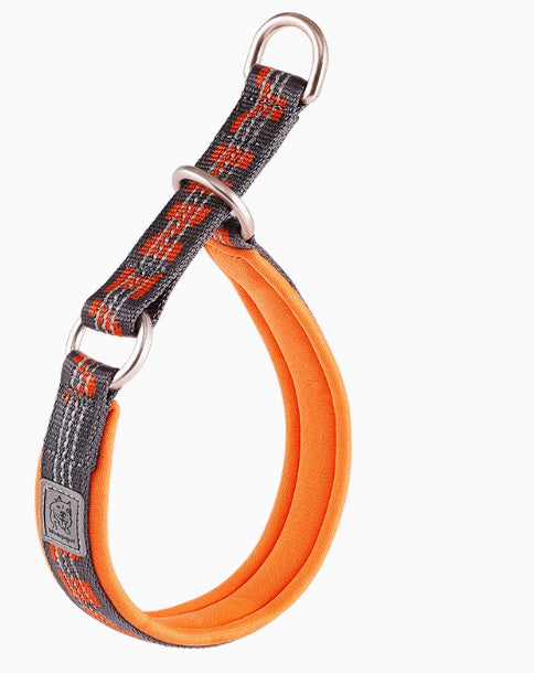 Reflectante Gris y naranja / 3XL Collar para pasear Pawsessence Accesorio