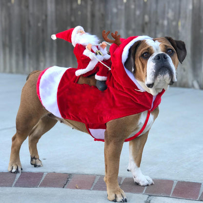 Ropa de Navidad para perros con Santa Claus Pawsessence estilo