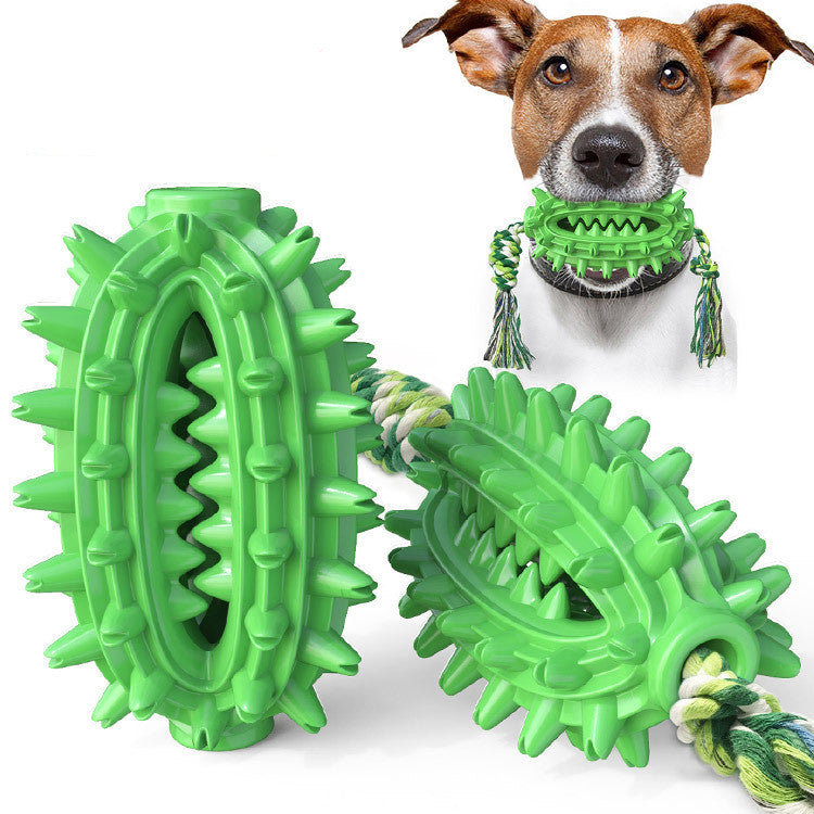 Green / Cactus with rope Juguete para perro con cuerda, Bola cepillo de dientes para perro Pawsessence Juguete