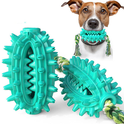 Lake Blue / Cactus with rope Juguete para perro con cuerda, Bola cepillo de dientes para perro Pawsessence Juguete