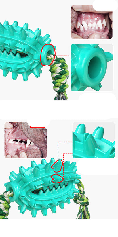 Juguete con cuerda, Bola cepillo de dientes