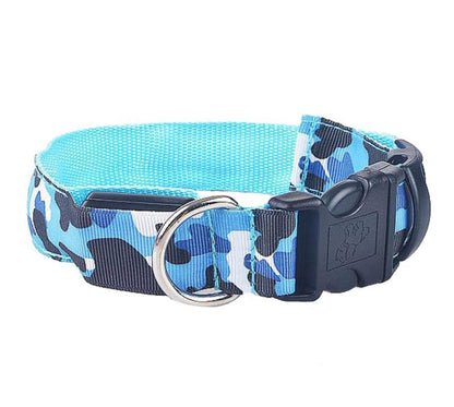 Collar luminoso recargable Pawsessence collar