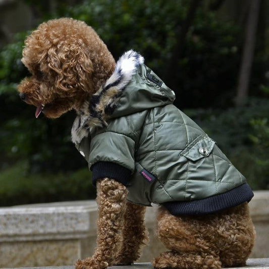 Chaqueta de invierno con capucha Pawsessence estilo