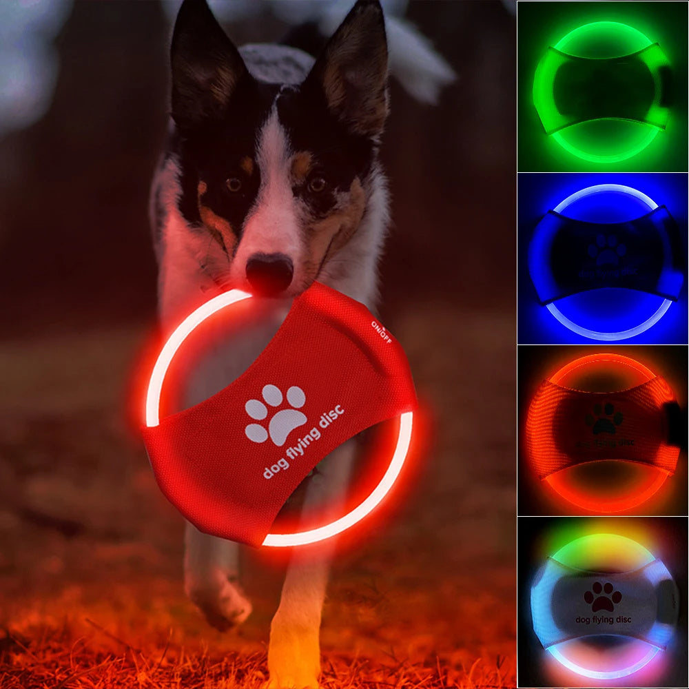 Disco luminoso led recargable Pawsessence Juguete