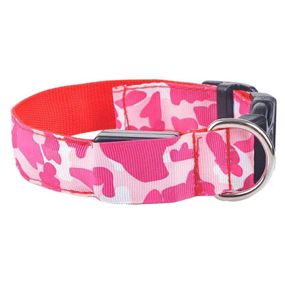 Rojo / L Collar luminoso recargable Pawsessence collar