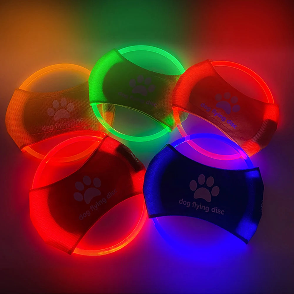 Disco luminoso led recargable Pawsessence Juguete